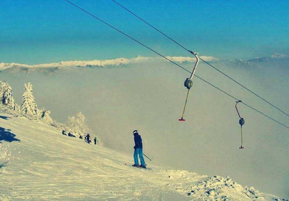 Apartma Alpski Vrt Vojsko Extérieur photo